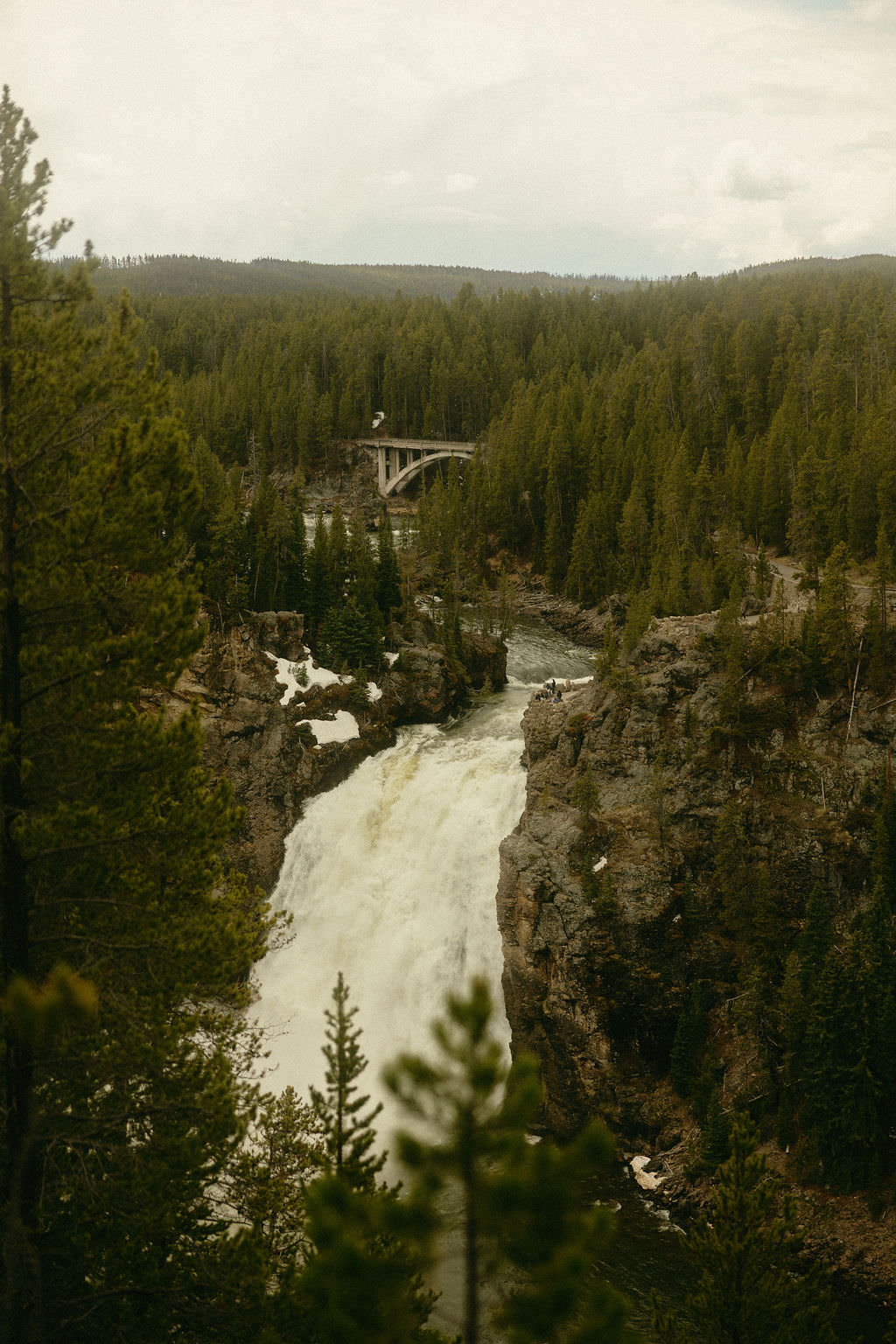 how to elope in a national park5