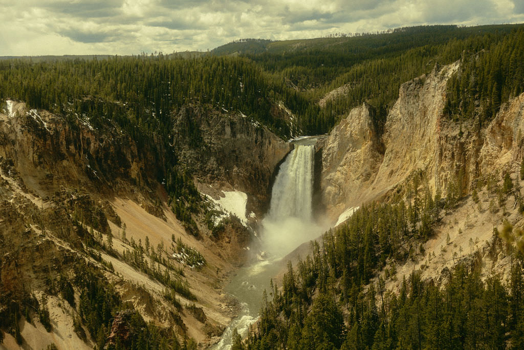 how to elope in a national park5
