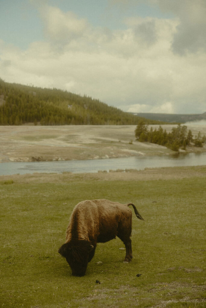 how to elope in a national park5
